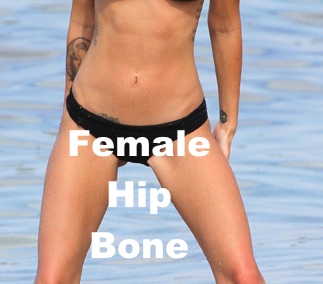 Female Hip Bone