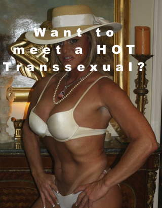 Hot Transsexual Meet