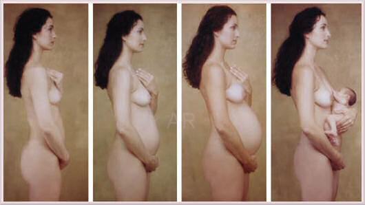 pregnant-progression